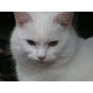 Caty88
